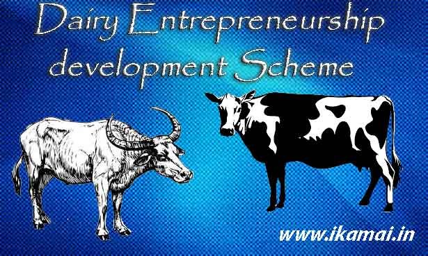 DEDS-NABARD-Subsidies-Scheme-for-Dairy-Farming