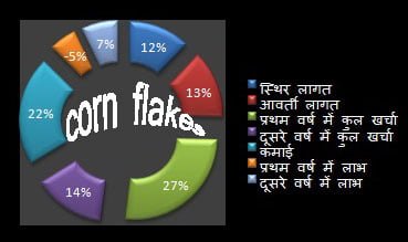 Sample Corn Flakes Project Report in Hindi.