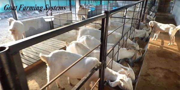 Goat-Farming-Systems-in-India in hindi