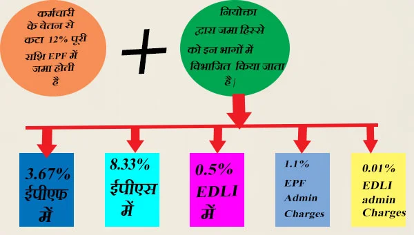 EDLI Scheme in hindi