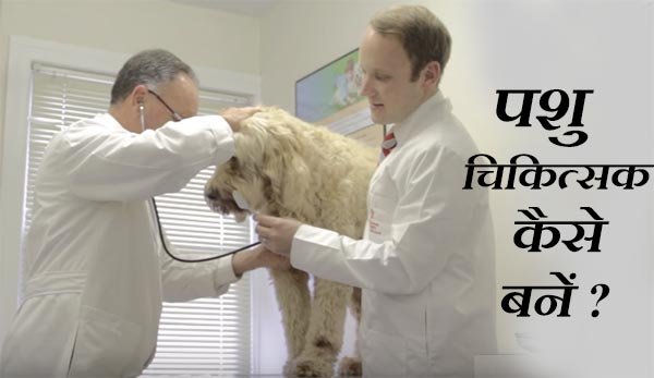 भारत में पशु चिकित्सक कैसे बनें । How to become a Veterinary Doctor.