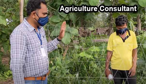 Agriculture Consultancy Business