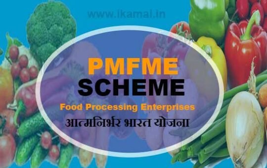 PM FME Scheme क्या है? खाद्य प्रसंस्करण उद्यम कैसे लाभ ले सकते हैं।