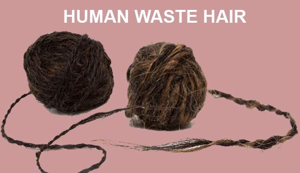 Waste hair business plan in hindi